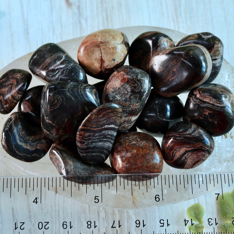 Stromatolite Tumbled Pocket Crystal