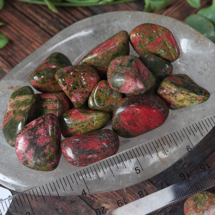 Unakite Tumbled Pocket Crystal