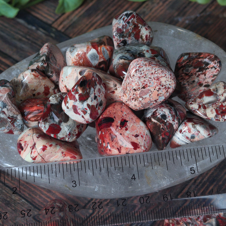 White Brecciated Jasper Polished Tumbled Pocket Stone